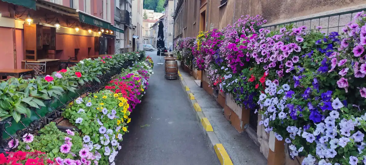 Apartman Small & Cute Downtown — fotografija 13